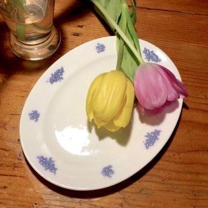 Antique Adderleys "Chelsea" Small Platter